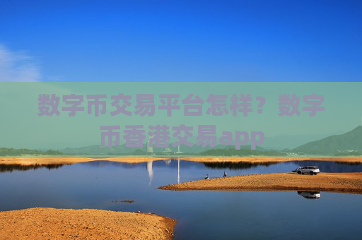 数字币交易平台怎样？数字币香港交易app