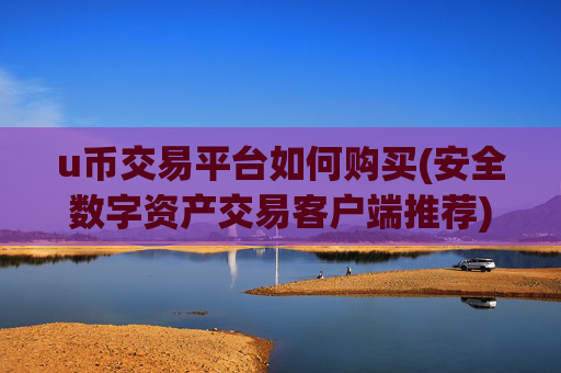 u币交易平台如何购买(安全数字资产交易客户端推荐)