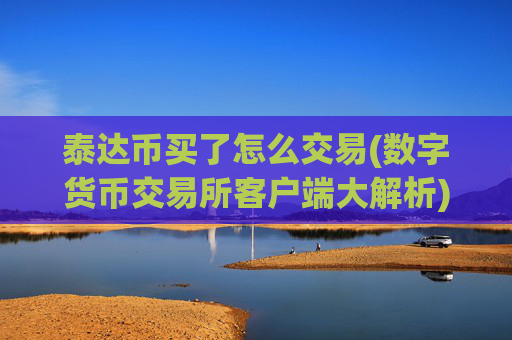 泰达币买了怎么交易(数字货币交易所客户端大解析)