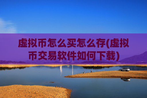 虚拟币怎么买怎么存(虚拟币交易软件如何下载)