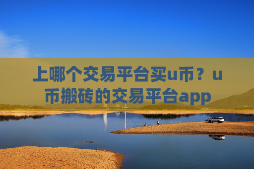 上哪个交易平台买u币？u币搬砖的交易平台app