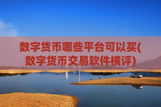 数字货币哪些平台可以买(数字货币交易软件横评)