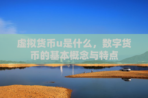 虚拟货币u是什么，数字货币的基本概念与特点