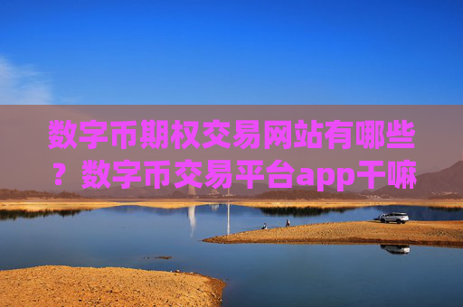 数字币期权交易网站有哪些？数字币交易平台app干嘛的