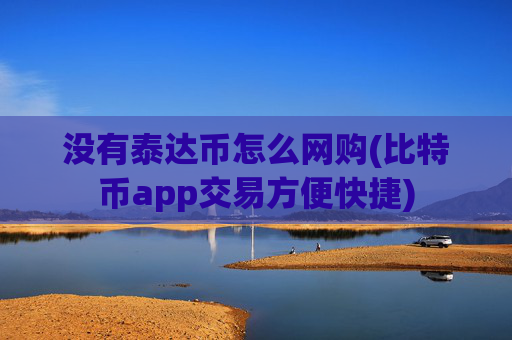 没有泰达币怎么网购(比特币app交易方便快捷)