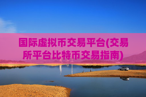 国际虚拟币交易平台(交易所平台比特币交易指南)