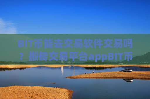 BIT币能去交易软件交易吗？搬砖交易平台appBIT币交易平台app