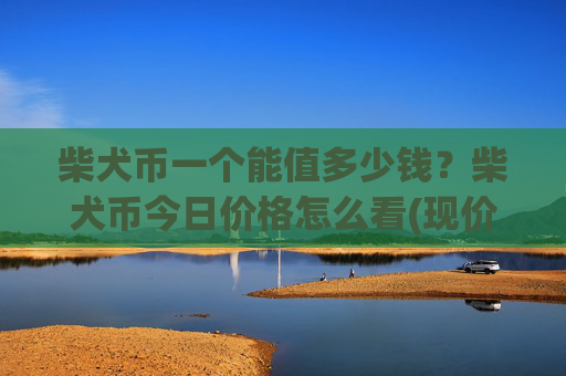 柴犬币一个能值多少钱？柴犬币今日价格怎么看(现价0.00020939元)
