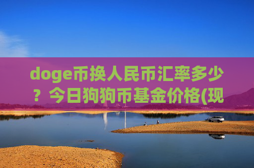 doge币换人民币汇率多少？今日狗狗币基金价格(现价2.9523元)