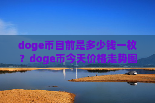 doge币目前是多少钱一枚？doge币今天价格走势图(现价2.9207元)