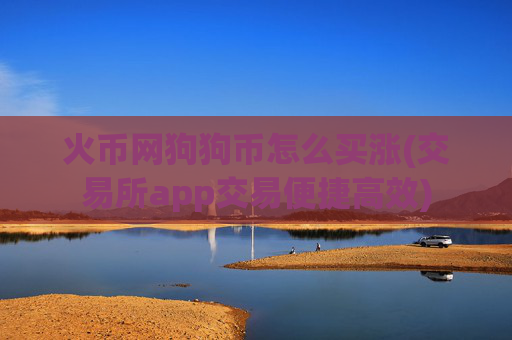 火币网狗狗币怎么买涨(交易所app交易便捷高效)