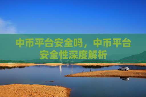 中币平台安全吗，中币平台安全性深度解析