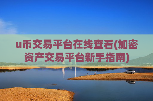 u币交易平台在线查看(加密资产交易平台新手指南)