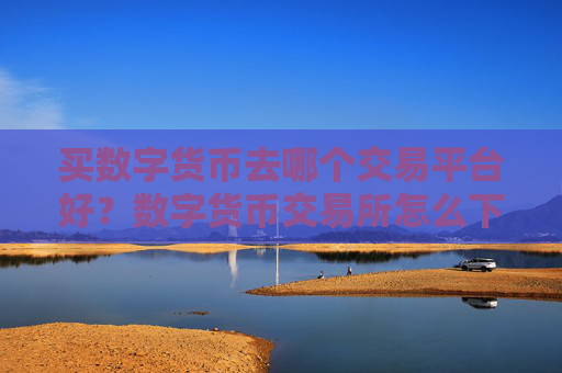 买数字货币去哪个交易平台好？数字货币交易所怎么下载不了了