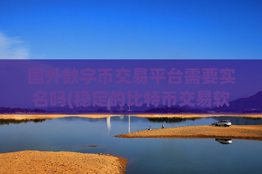 国外数字币交易平台需要实名吗(稳定的比特币交易软件)