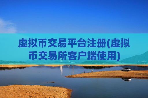 虚拟币交易平台注册(虚拟币交易所客户端使用)