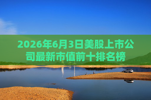 2026年6月3日美股上市公司最新市值前十排名榜