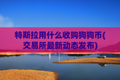 特斯拉用什么收购狗狗币(交易所最新动态发布)