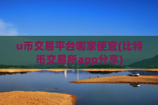 u币交易平台哪家便宜(比特币交易所app分享)