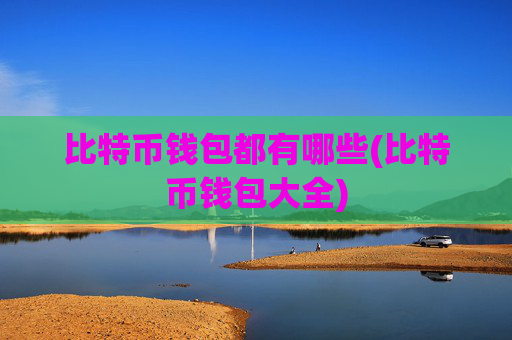 比特币钱包都有哪些(比特币钱包大全)