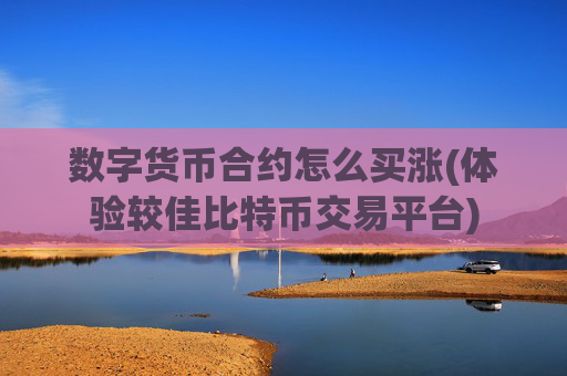 数字货币合约怎么买涨(体验较佳比特币交易平台)