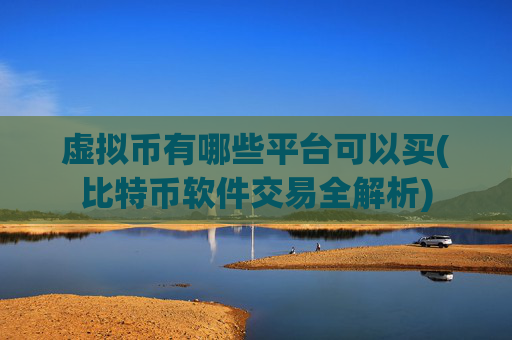 虚拟币有哪些平台可以买(比特币软件交易全解析)