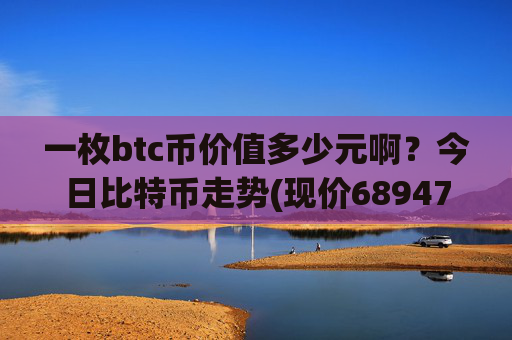 一枚btc币价值多少元啊?今日比特币走势(现价689476.65元)