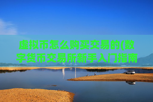 虚拟币怎么购买交易的(数字货币交易所新手入门指南)