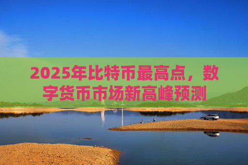 2025年比特币最高点，数字货币市场新高峰预测