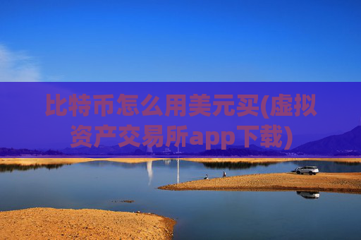 比特币怎么用美元买(虚拟资产交易所app下载)