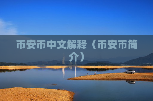 币安币中文解释（币安币简介）