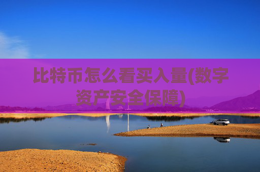 比特币怎么看买入量(数字资产安全保障)