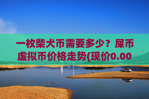一枚柴犬币需要多少？屎币虚拟币价格走势(现价0.00021205元)