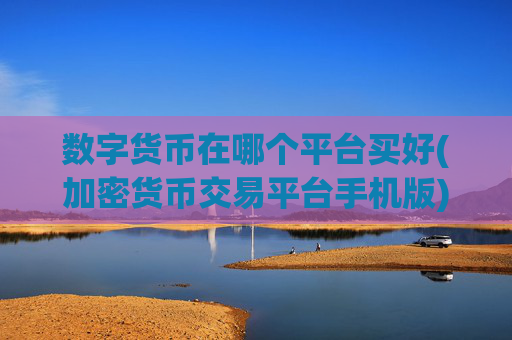 数字货币在哪个平台买好(加密货币交易平台手机版)