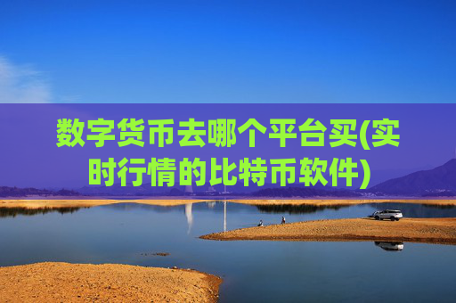 数字货币去哪个平台买(实时行情的比特币软件)