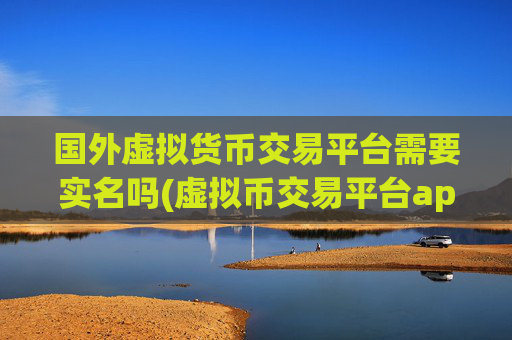 国外虚拟货币交易平台需要实名吗(虚拟币交易平台app)