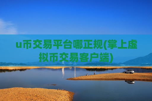 u币交易平台哪正规(掌上虚拟币交易客户端)