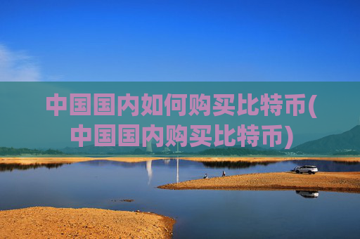 中国国内如何购买比特币(中国国内购买比特币)