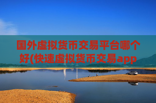 国外虚拟货币交易平台哪个好(快速虚拟货币交易app)