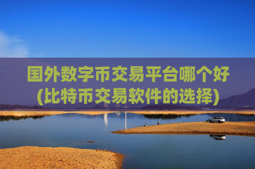 国外数字币交易平台哪个好(比特币交易软件的选择)