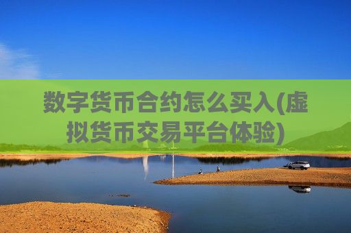 数字货币合约怎么买入(虚拟货币交易平台体验)