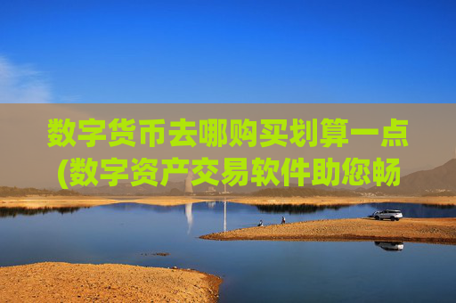 数字货币去哪购买划算一点(数字资产交易软件助您畅快交易)