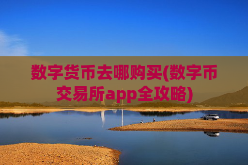 数字货币去哪购买(数字币交易所app全攻略)