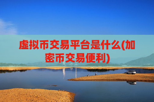 虚拟币交易平台是什么(加密币交易便利)