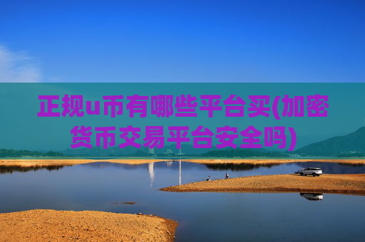 正规u币有哪些平台买(加密货币交易平台安全吗)