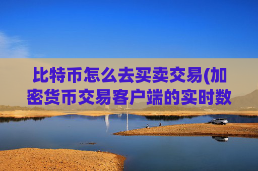 比特币怎么去买卖交易(加密货币交易客户端的实时数据)