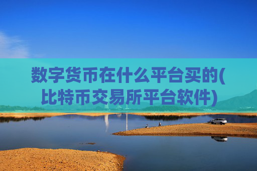 数字货币在什么平台买的(比特币交易所平台软件)