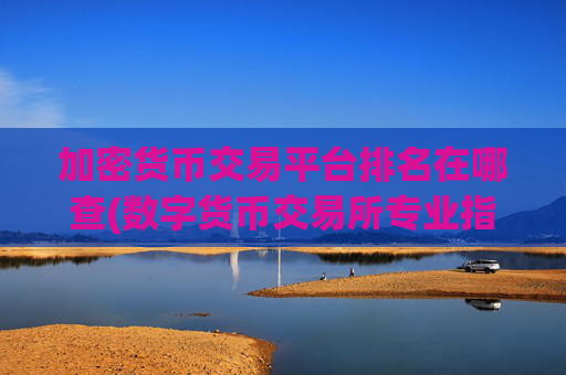加密货币交易平台排名在哪查(数字货币交易所专业指南)