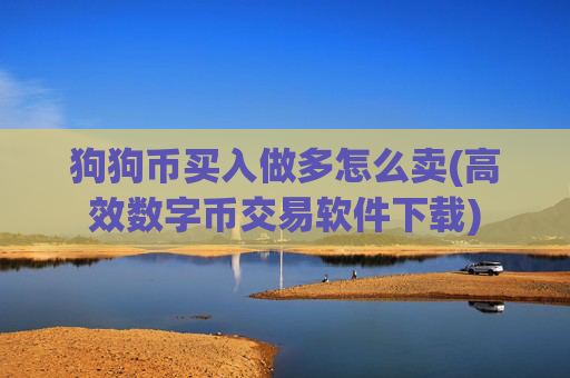 狗狗币买入做多怎么卖(高效数字币交易软件下载)