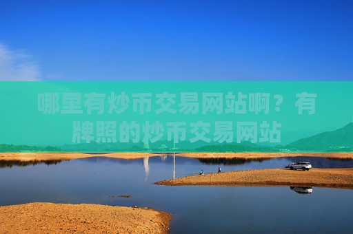 哪里有炒币交易网站啊？有牌照的炒币交易网站